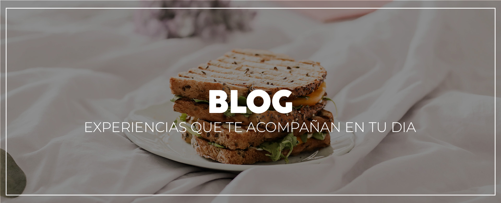 Blog