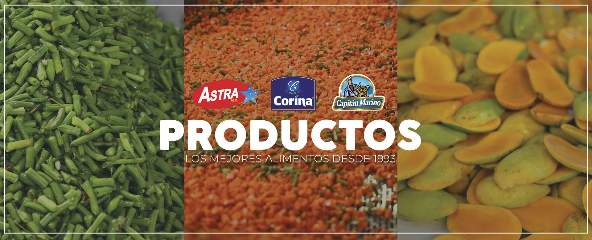 Productos